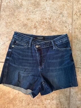 Judy Blue Indigo High-Rise Denim Cutoff Shorts